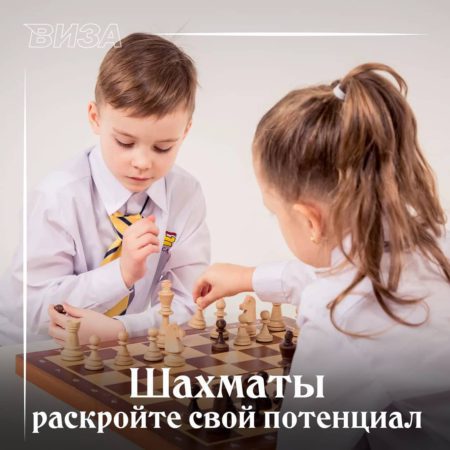 Шахматы