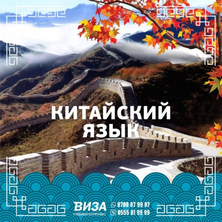 Китайский язык